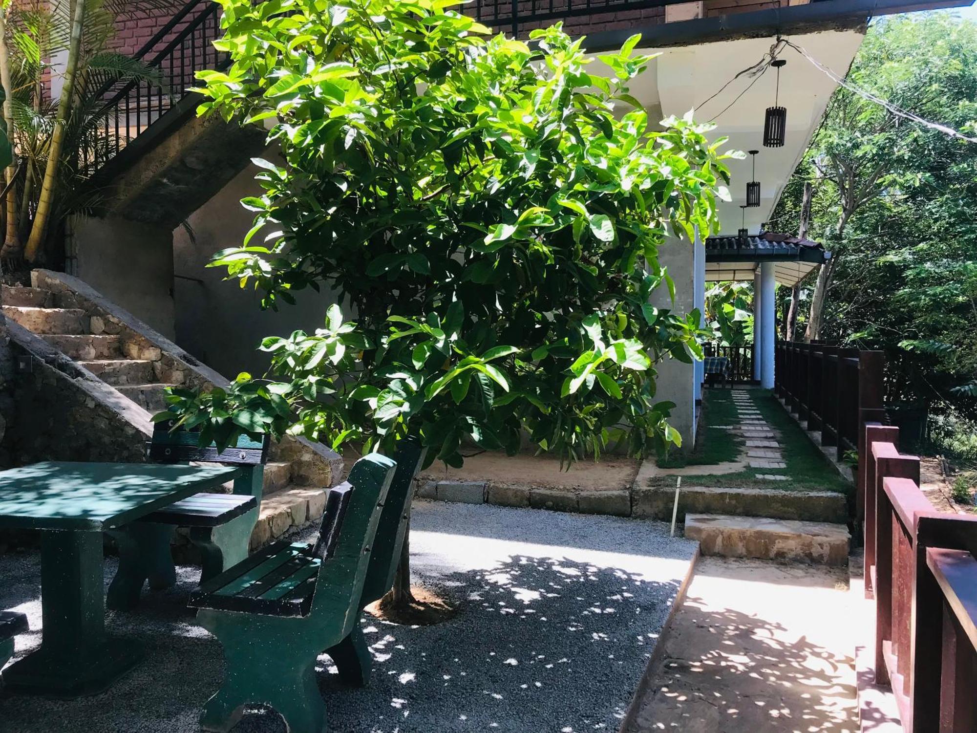 Ridge View Guest House -Ella Zewnętrze zdjęcie